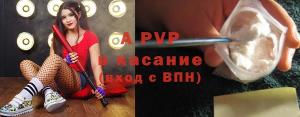индика Богданович