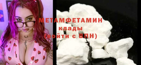 индика Богданович