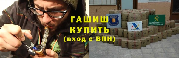 индика Богданович