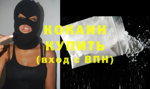 индика Богданович