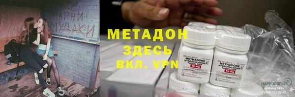 индика Богданович