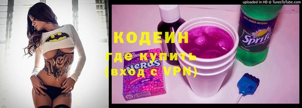 индика Богданович