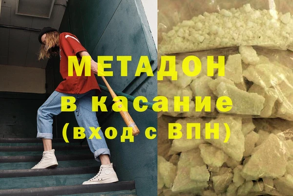 индика Богданович