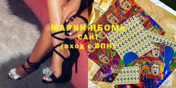 индика Богданович