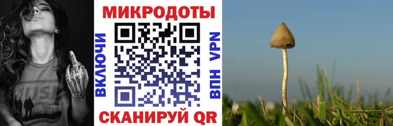 Псилоцибиновые грибы мицелий Игра