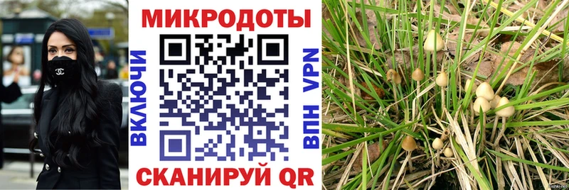 kraken вход  Игра  Псилоцибиновые грибы мицелий 